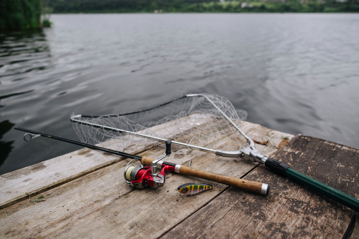 Organization and conduct of fishing competitions: your way to unforgettable fishing victories!